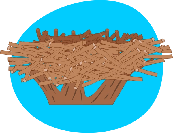  Nest